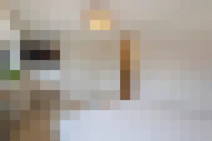 Rondo 125 Sliedrecht thumbnail 21