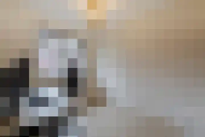 Rondo 125 Sliedrecht thumbnail 22