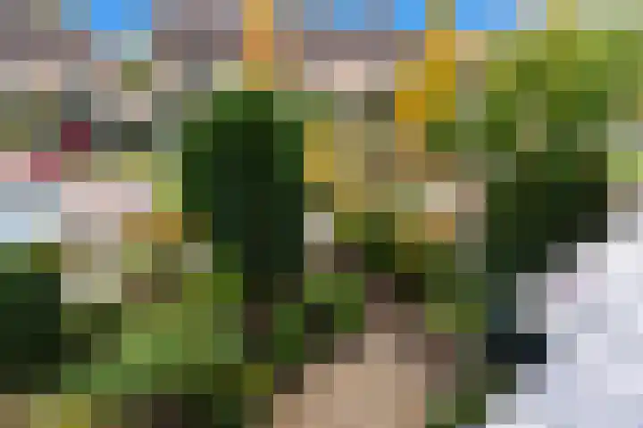 Rondo 13 Krimpen aan den IJssel thumbnail 22