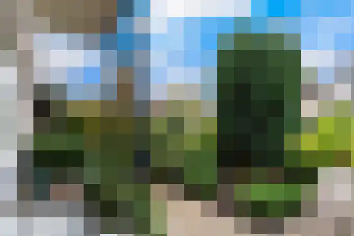 Rondo 13 Krimpen aan den IJssel thumbnail 34