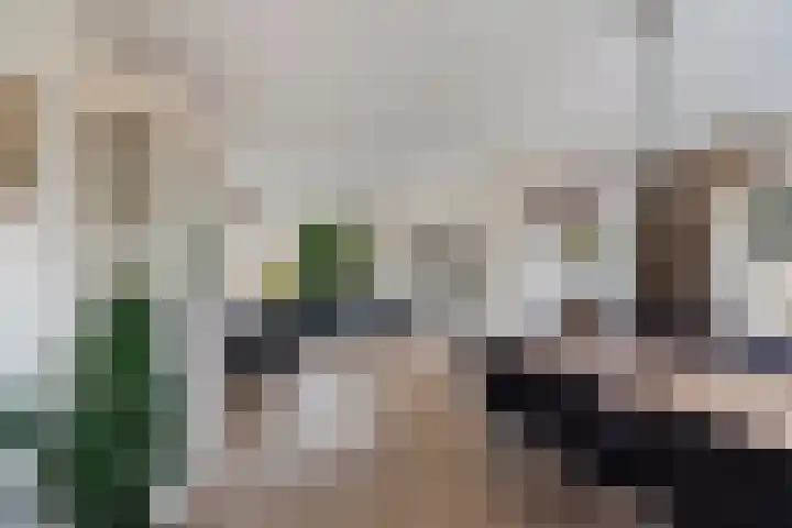 Rondo 13 Krimpen aan den IJssel thumbnail 6