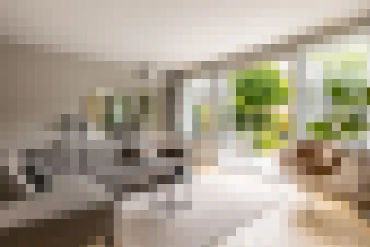 Rondo 2 Sliedrecht thumbnail 34