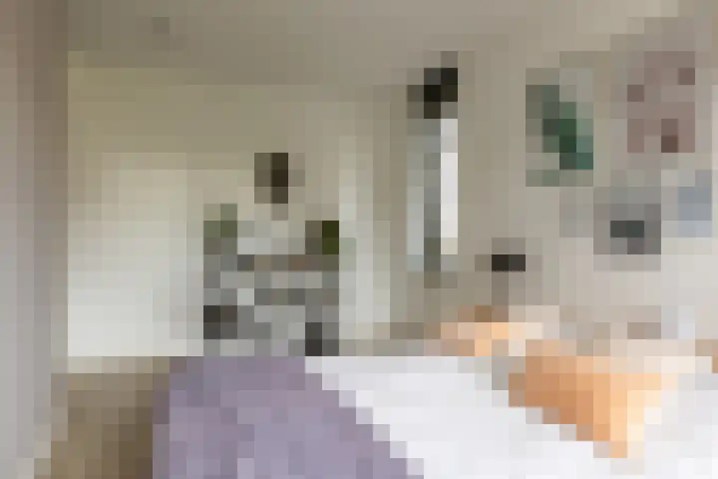 Rondo 2 Sliedrecht thumbnail 48
