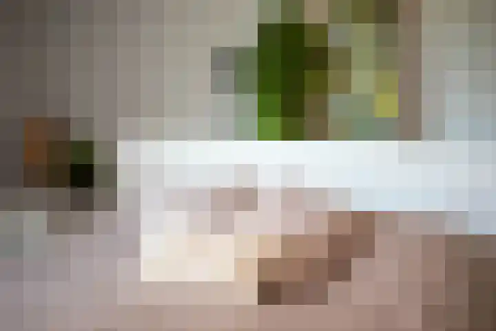 Rondo 30 Sliedrecht thumbnail 16