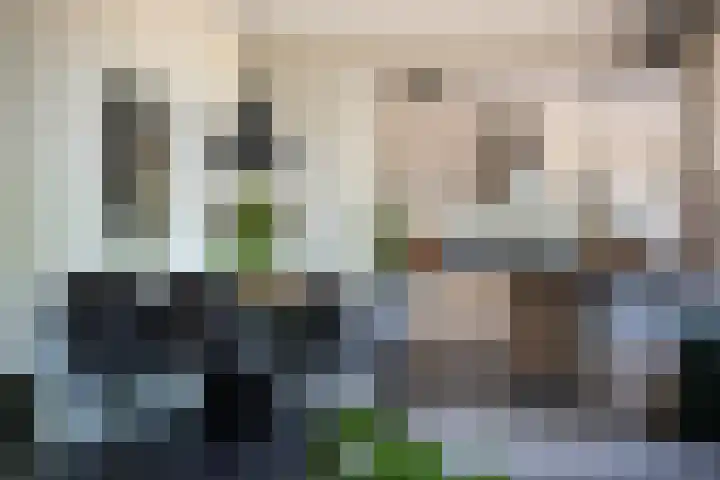 Rondo 30 Sliedrecht thumbnail 8