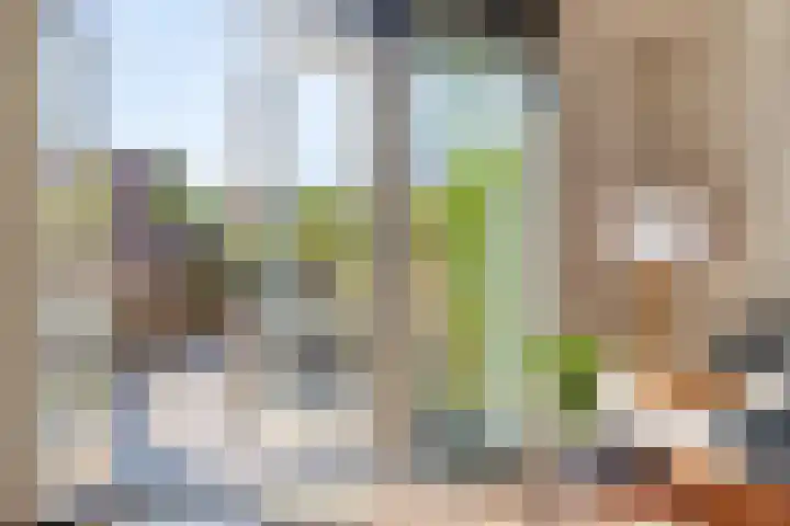 Rondo 312 Sliedrecht thumbnail 10