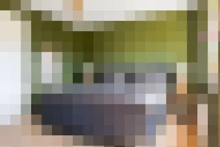 Rondo 312 Sliedrecht thumbnail 18