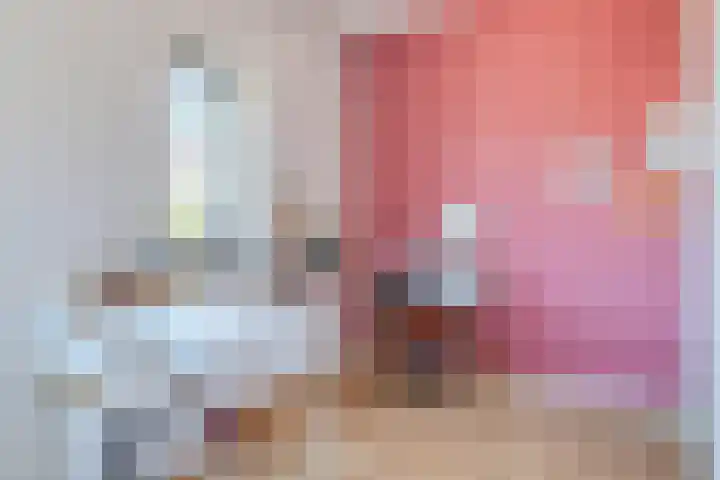 Rondo 312 Sliedrecht thumbnail 30