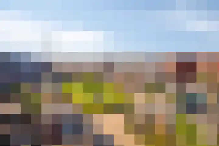 Rondo 312 Sliedrecht thumbnail 37