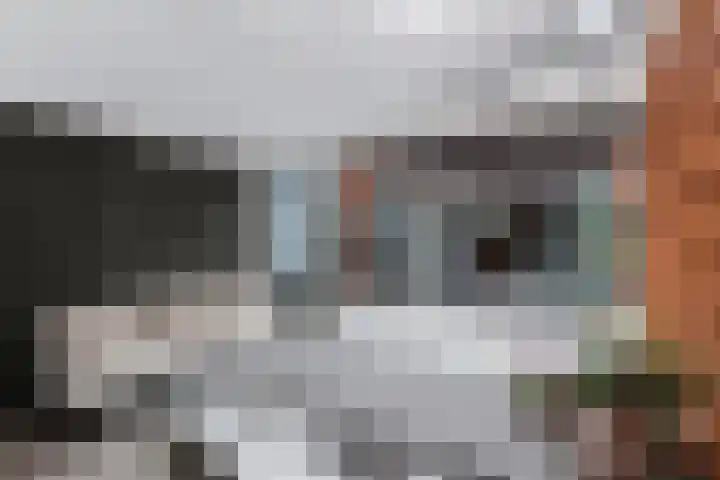 Rondo 355 Sliedrecht thumbnail 4