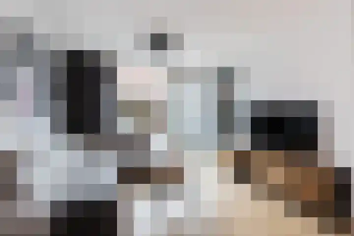 Rondo 355 Sliedrecht thumbnail 7