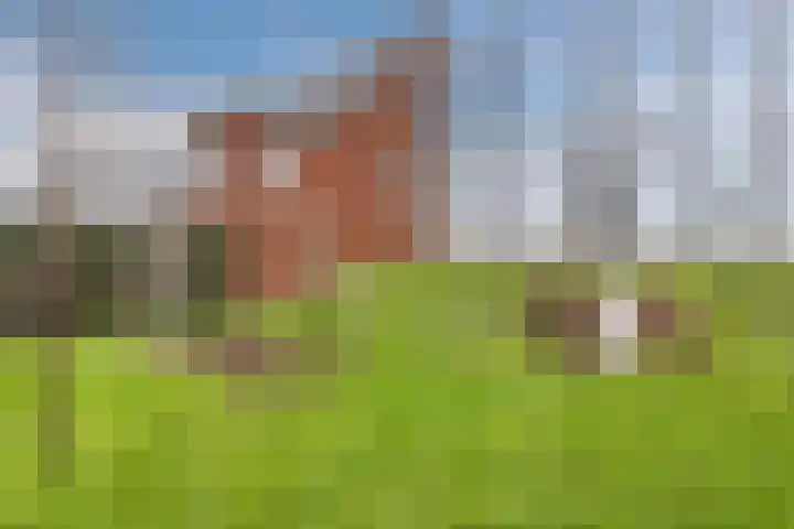 Rondo 358 Sliedrecht thumbnail 39