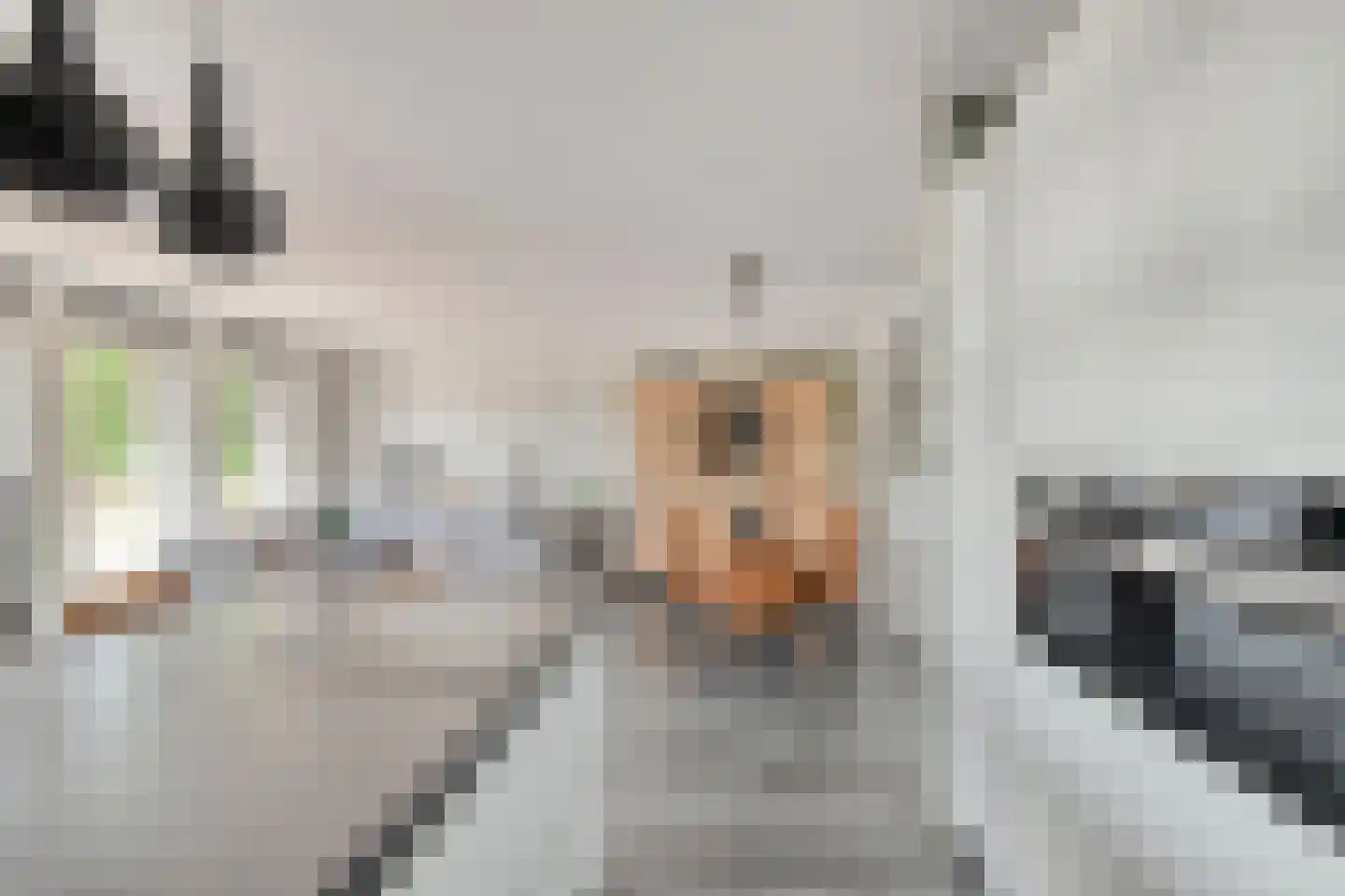 Rondo 36 Sliedrecht thumbnail 12