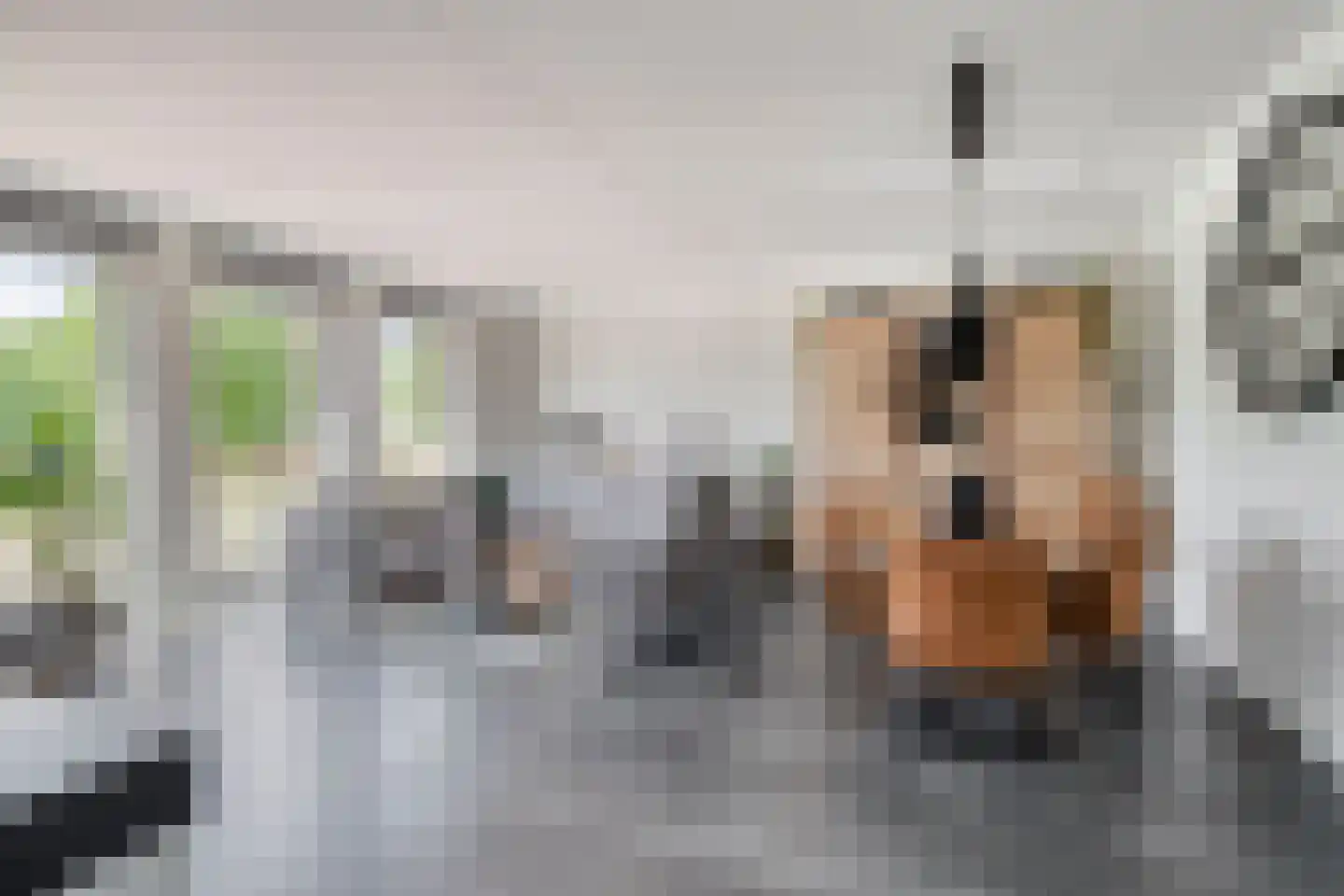 Rondo 36 Sliedrecht thumbnail 7