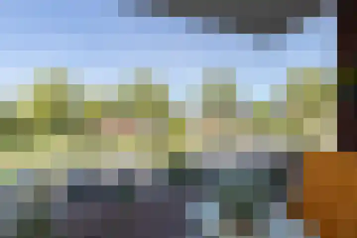 Rondo 40 Sliedrecht thumbnail 20
