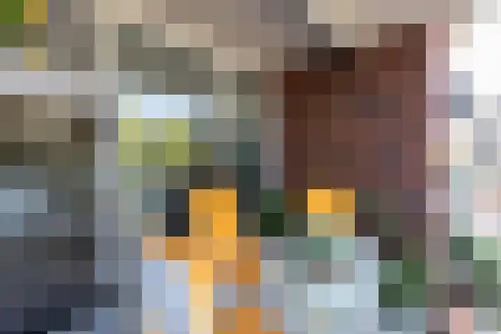 Rondo 40 Sliedrecht thumbnail 21