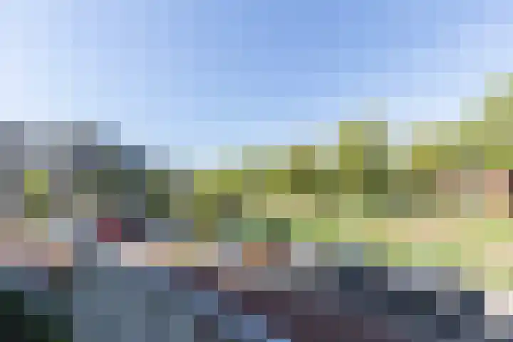 Rondo 40 Sliedrecht thumbnail 22