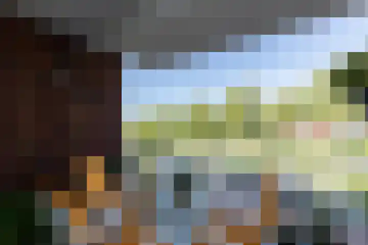 Rondo 40 Sliedrecht thumbnail 4