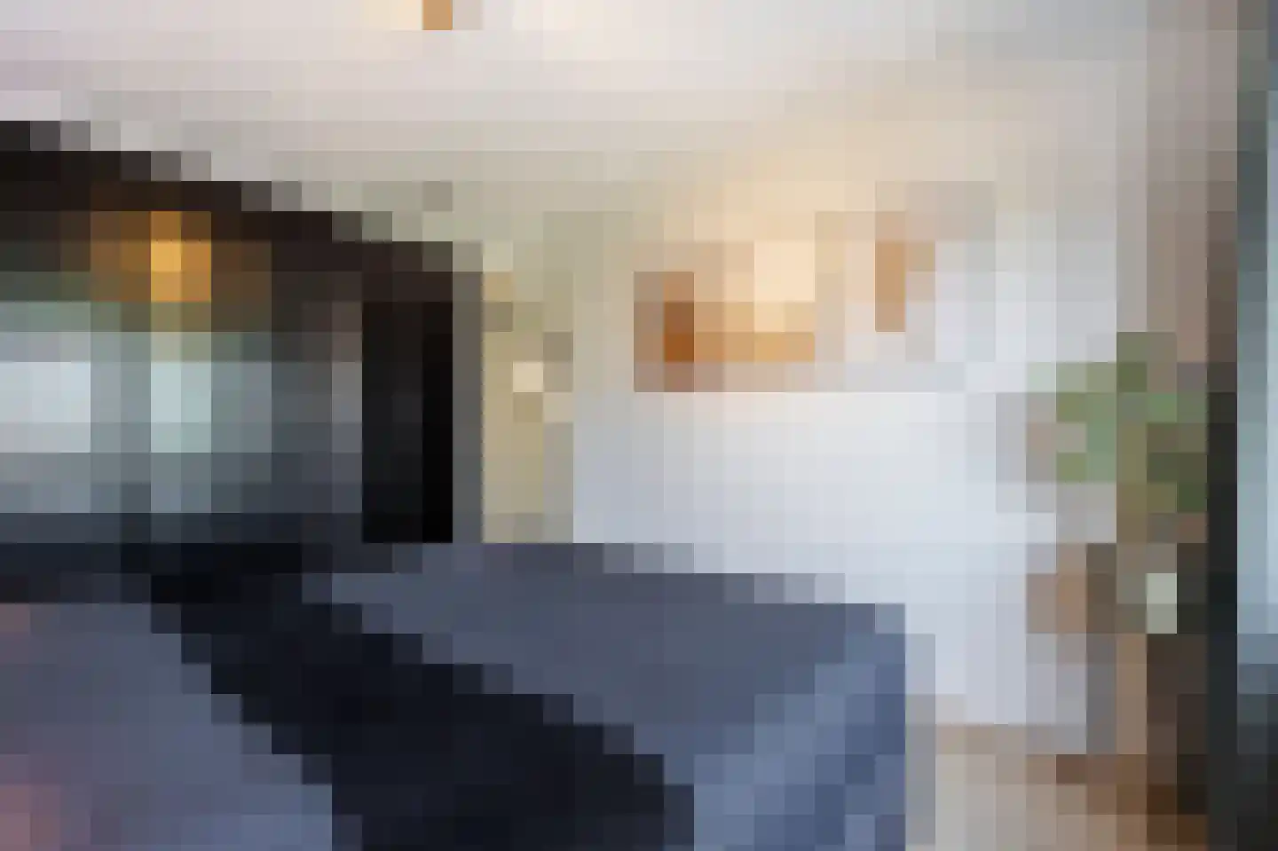 Rondo 420 Sliedrecht thumbnail 18