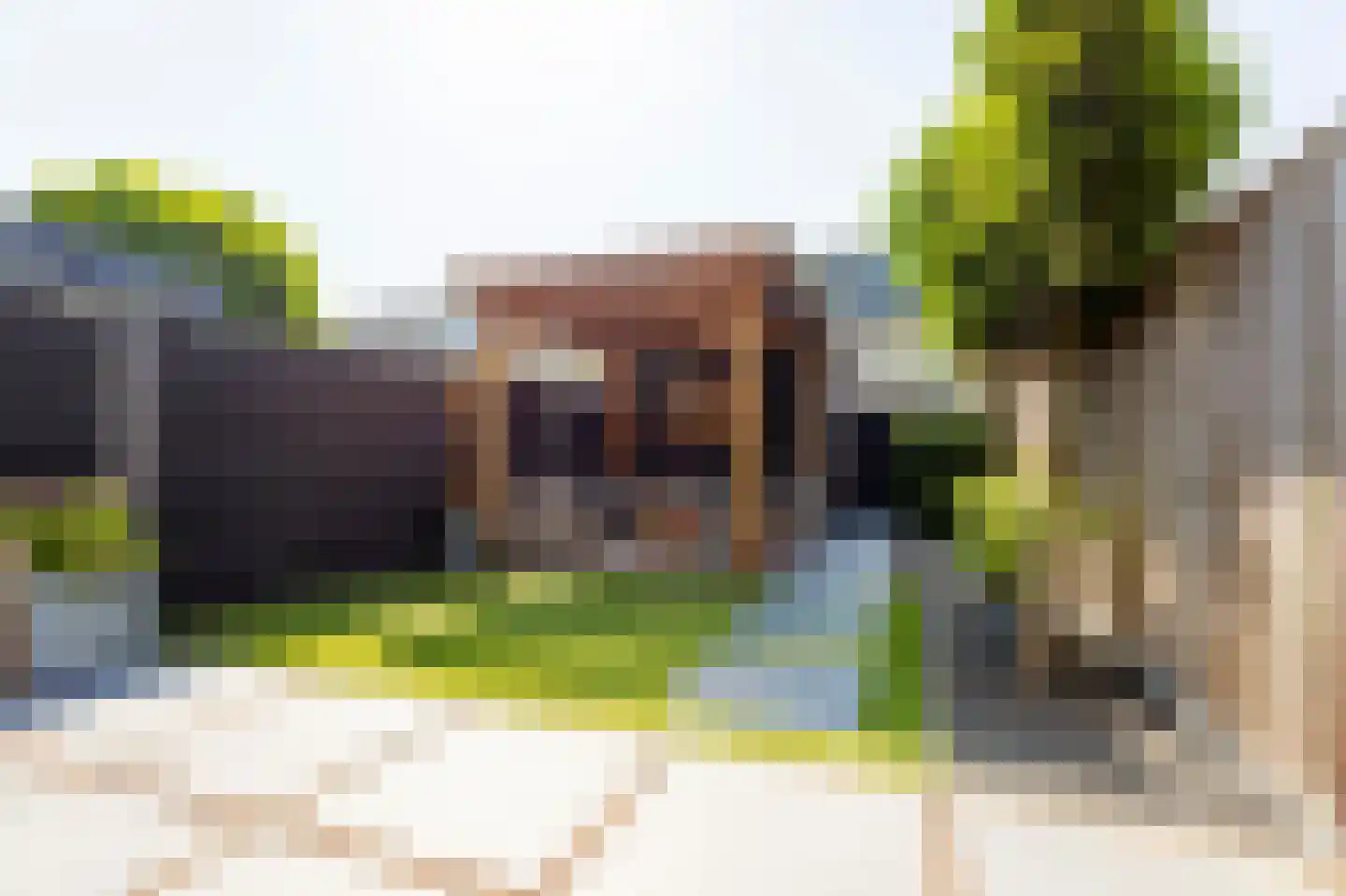Rondo 420 Sliedrecht foto 2