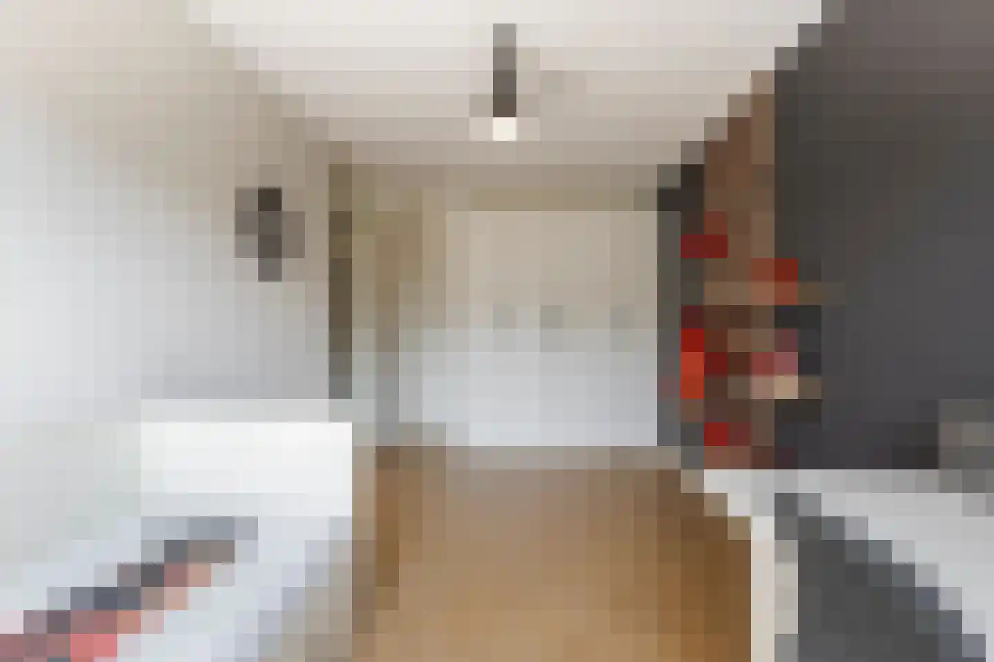 Rondo 420 Sliedrecht thumbnail 20