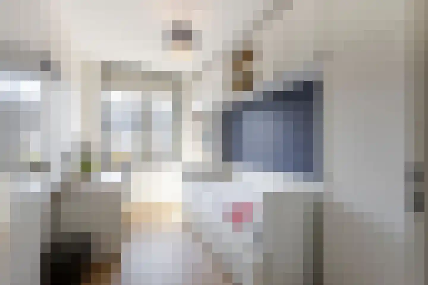 Rondo 420 Sliedrecht thumbnail 21