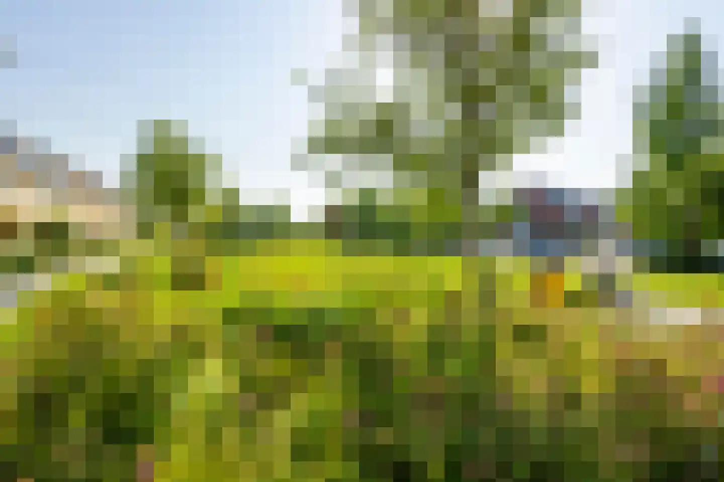 Rondo 420 Sliedrecht thumbnail 38