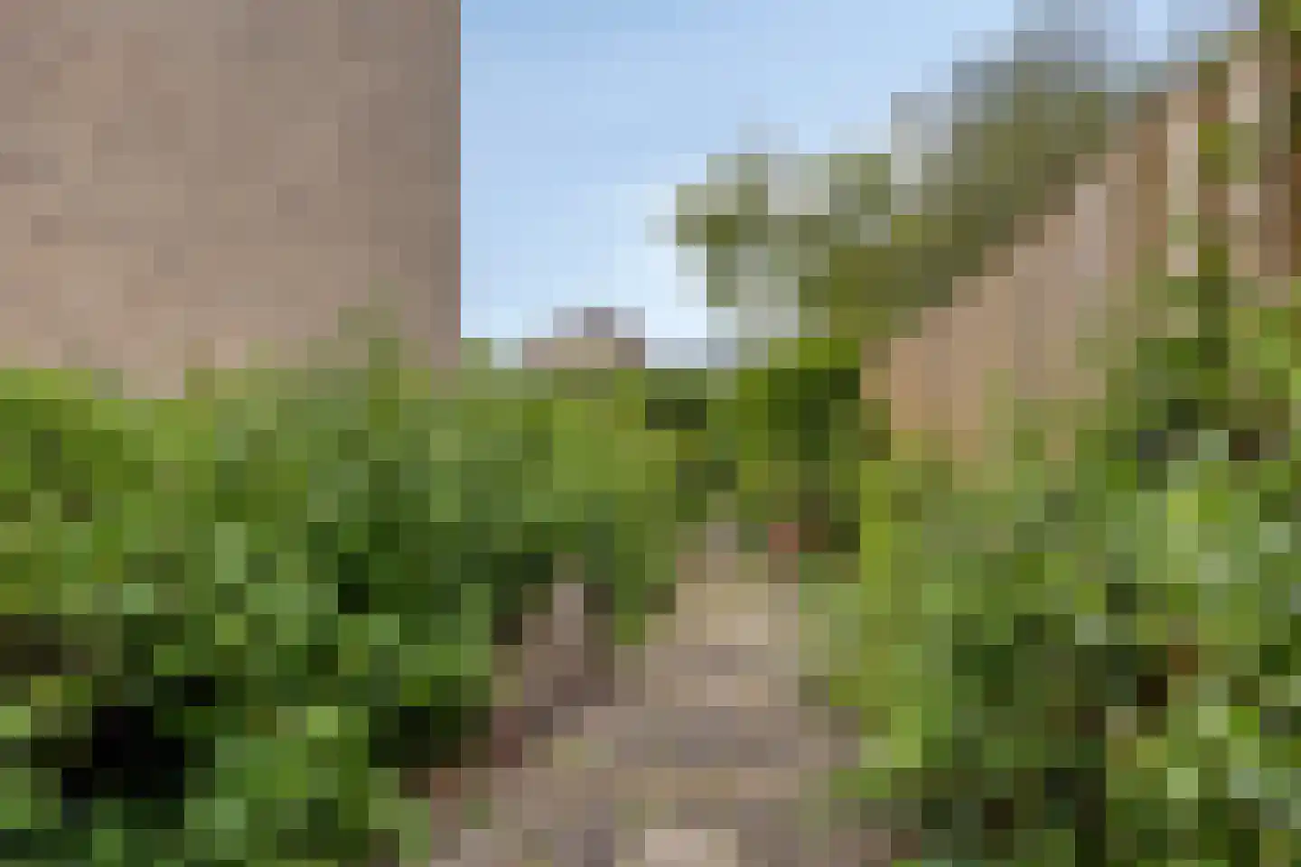 Rondo 50 Krimpen aan den IJssel thumbnail 28
