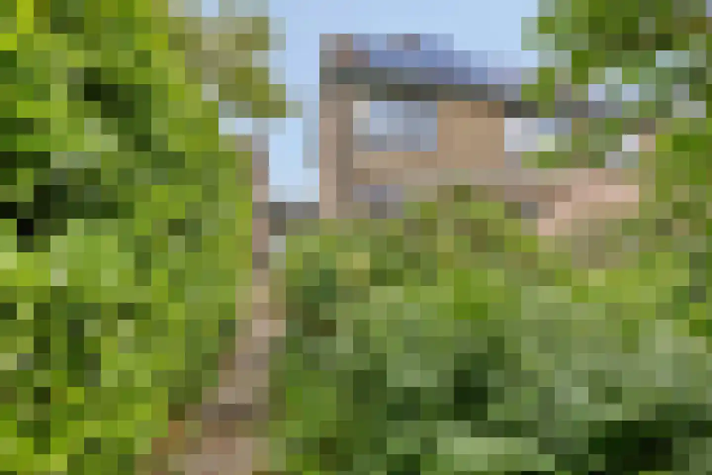 Rondo 50 Krimpen aan den IJssel thumbnail 29