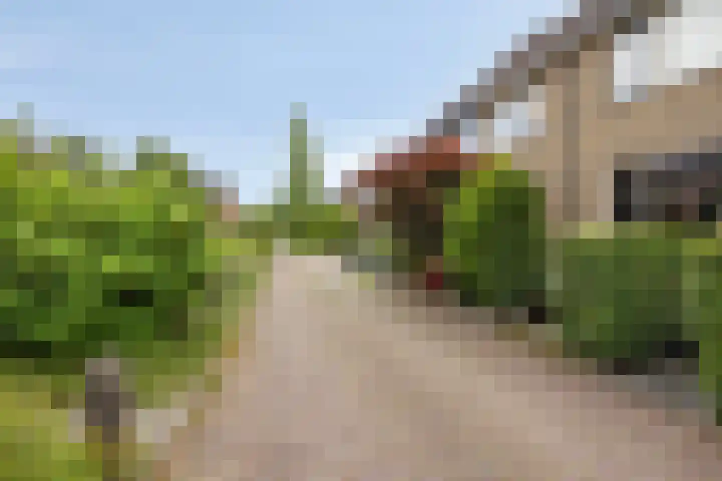 Rondo 50 Krimpen aan den IJssel thumbnail 34