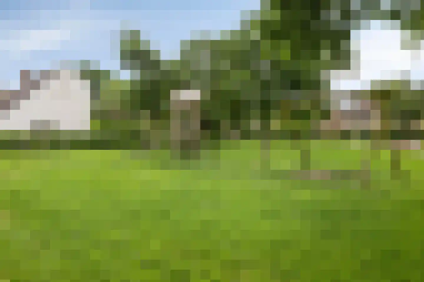 Rondo 50 Krimpen aan den IJssel thumbnail 35