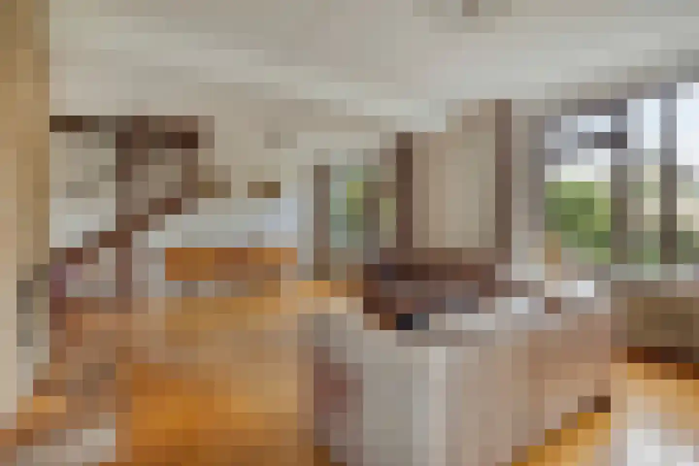 Rondo 50 Krimpen aan den IJssel thumbnail 5