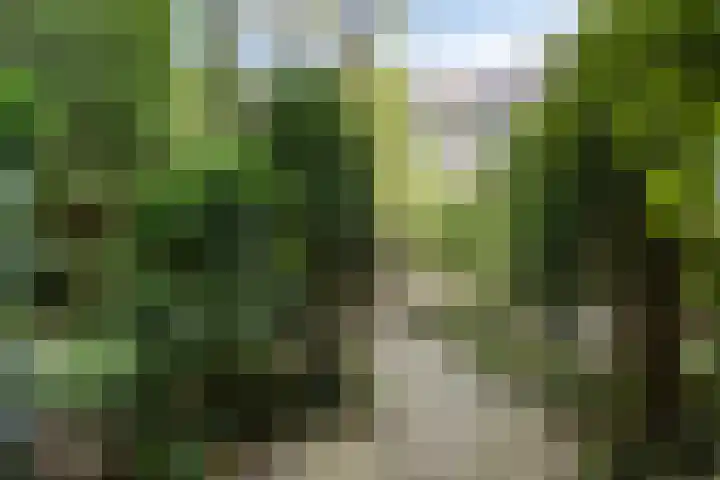 Rondo 52 Krimpen aan den IJssel thumbnail 30