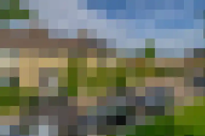 Rondo 60 Krimpen aan den IJssel thumbnail 8