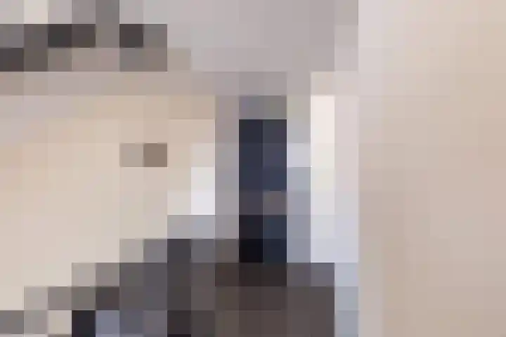 Rondohof 16 Gouda thumbnail 12