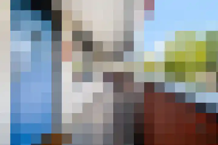 Rondohof 16 Gouda thumbnail 13