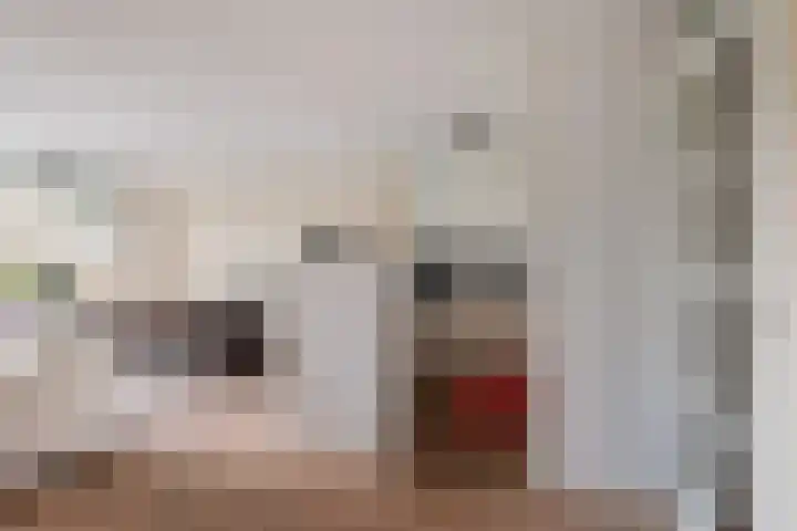 Rondohof 16 Gouda thumbnail 20