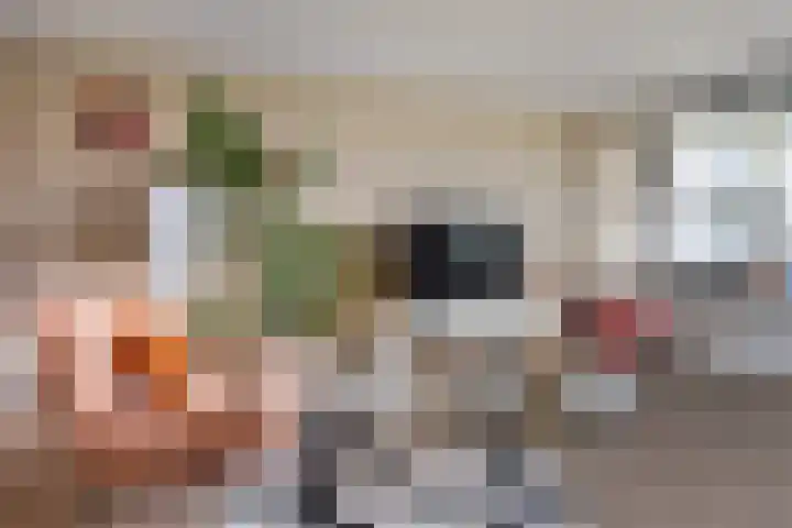 Rondohof 16 Gouda thumbnail 22