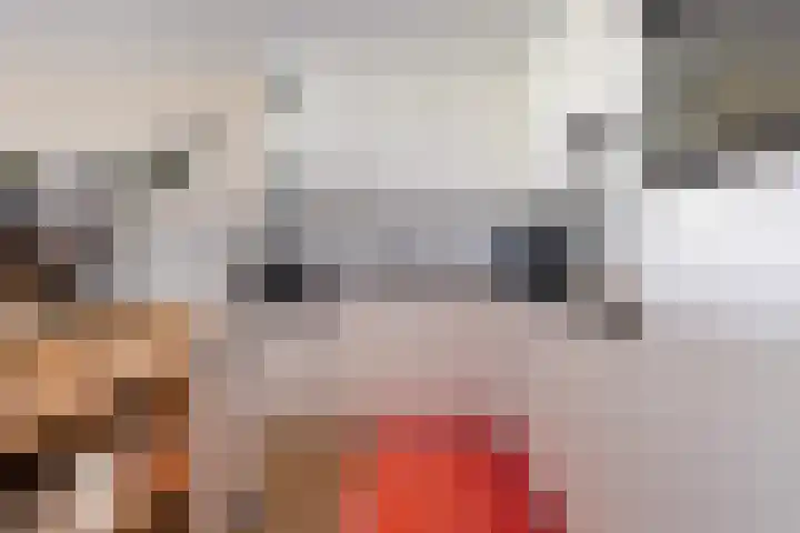 Rondohof 16 Gouda thumbnail 27