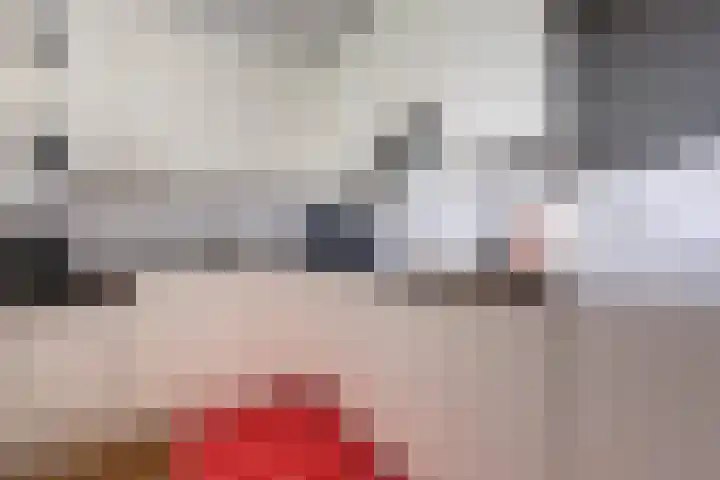 Rondohof 16 Gouda thumbnail 28