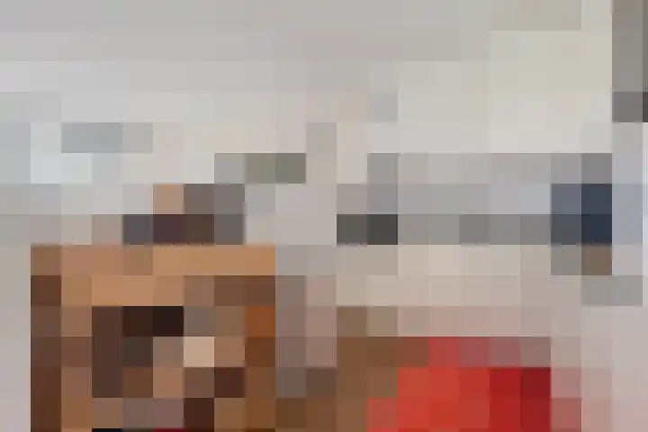 Rondohof 16 Gouda thumbnail 29