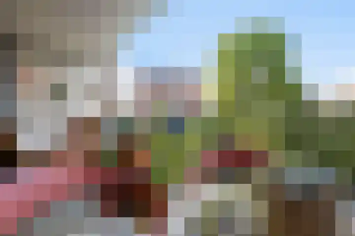 Rondohof 16 Gouda thumbnail 30
