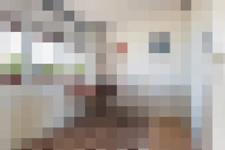 Rondohof 16 Gouda thumbnail 32