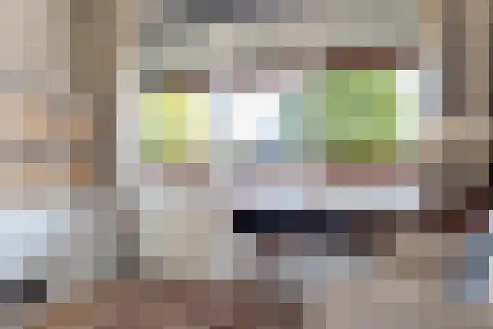 Rondohof 16 Gouda thumbnail 33