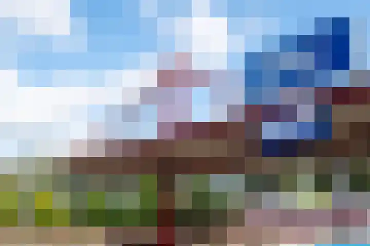 Rondohof 16 Gouda thumbnail 38