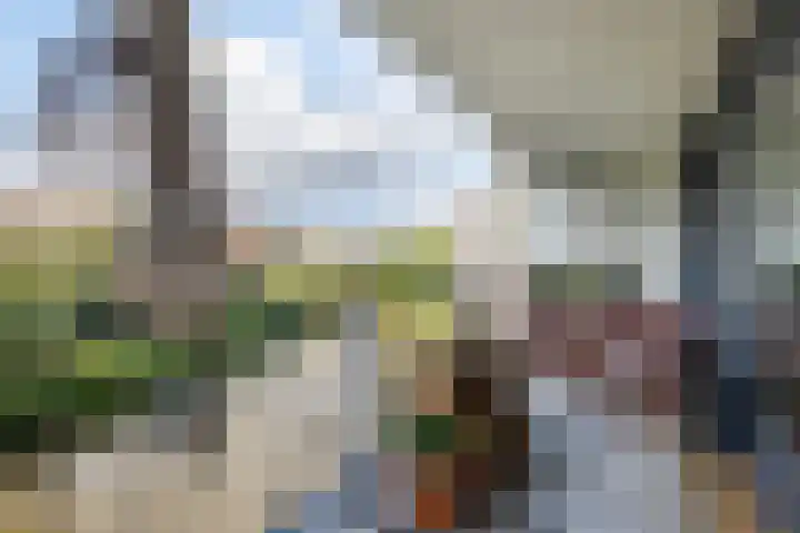 Rondohof 16 Gouda thumbnail 4
