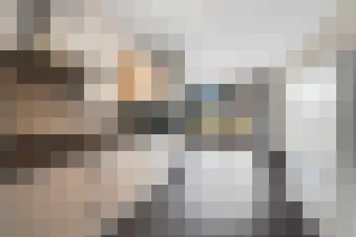Rondom 23 Bergschenhoek thumbnail 6
