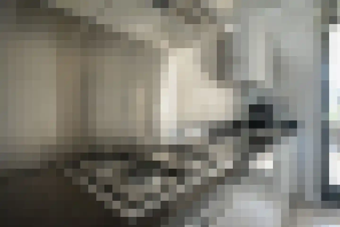 Rondom 29 Bergschenhoek thumbnail 16
