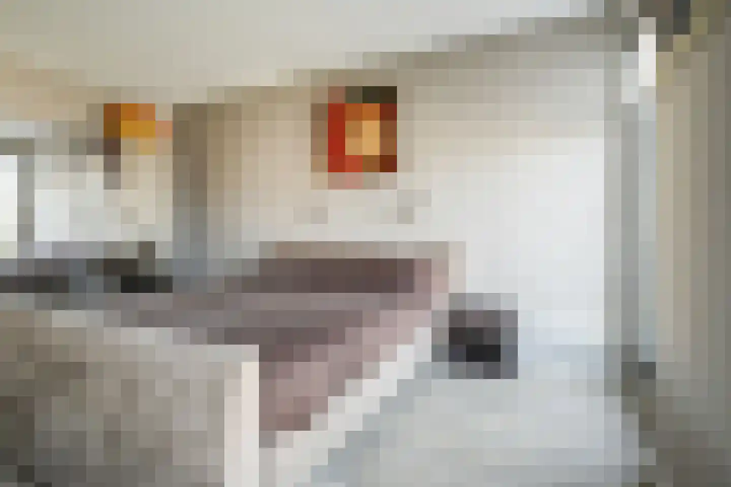 Rondom 29 Bergschenhoek thumbnail 29