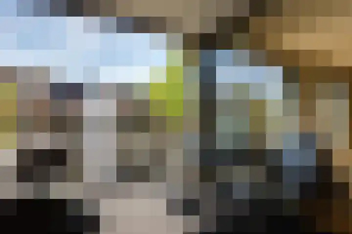 Rondom 41 Bergschenhoek thumbnail 17